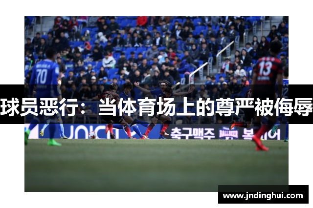球员恶行：当体育场上的尊严被侮辱