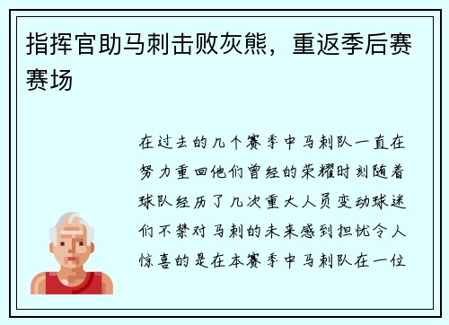 指挥官助马刺击败灰熊，重返季后赛赛场